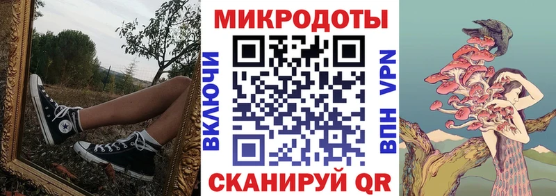 Псилоцибиновые грибы Cubensis Туринск