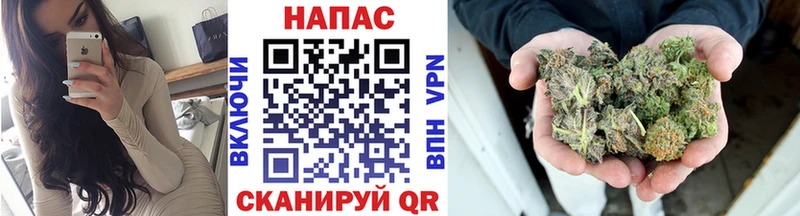 Шишки марихуана OG Kush  Туринск 